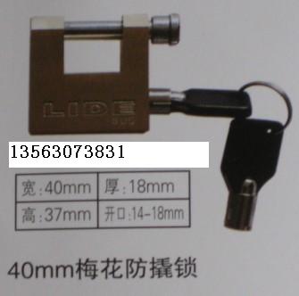 40mm梅花防撬表箱挂锁,电力表箱专用通开挂锁,铜挂锁